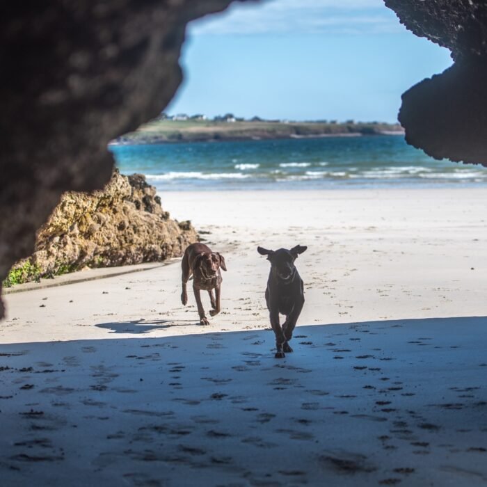 22626b2a-5f0a-4200-94b0-e727e84ddc37