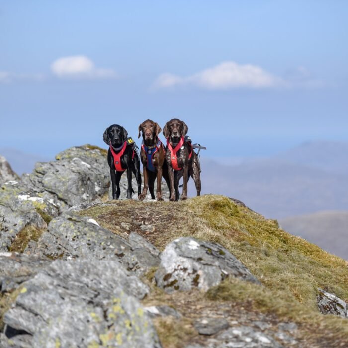 56caa014-44ec-4392-8683-b24cfc8737e0-scaled