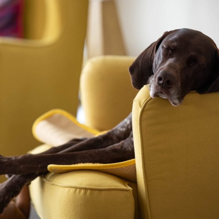 b0ead29e-8e50-4472-bad2-f2ea5370579f